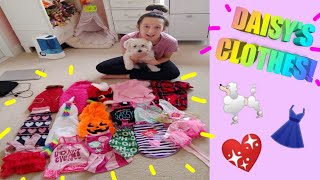 Puppy Fashion Show 2020