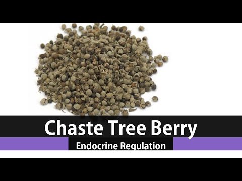 The Health Benefits Of Vitex Chaste Tree Berry
