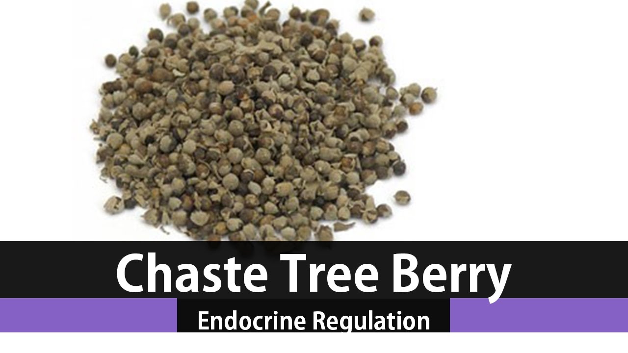 Vitex Organic Seeds Agnus-Castus (Known as Chaste Berry