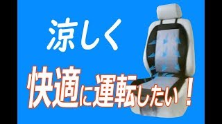 【商品レビュー】ムレ解消 快適エアークッション