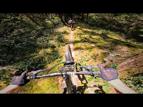 The Sunshine Coast Has Some Squamish Slabs!