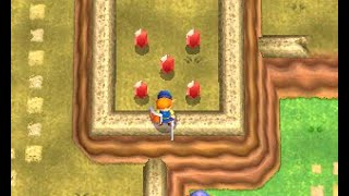 Albw - Red Rupee Fire Rod Boost