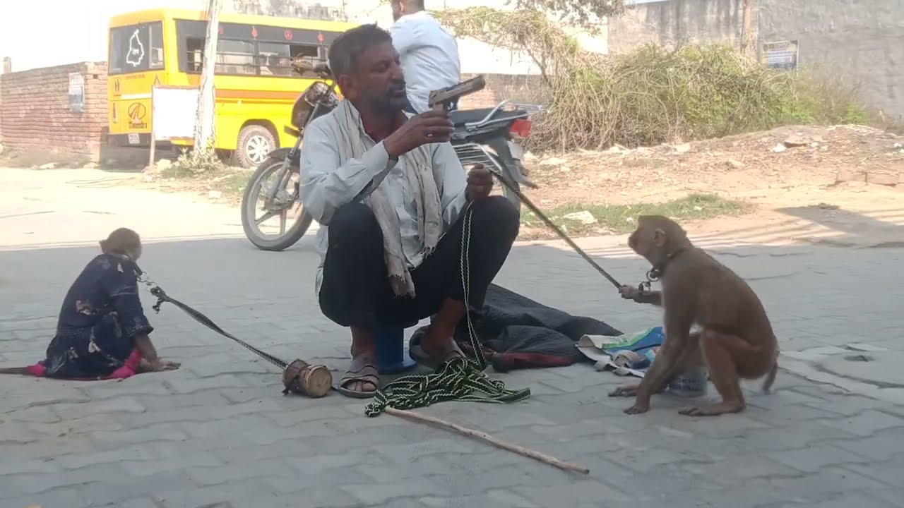 ਬਸੰਤੀ ਗੋਵਿੰਦਾ ਦੀ super hit movie 🎥🎥