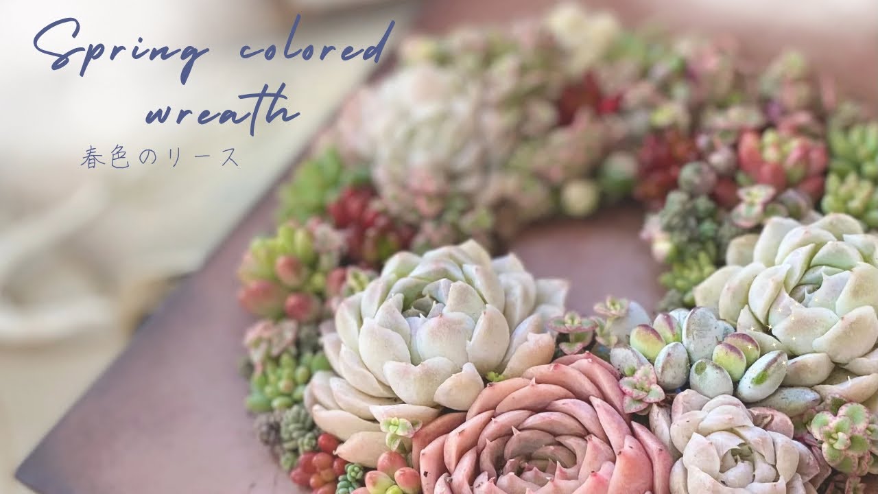 『Spring colored wreath』春色のリース