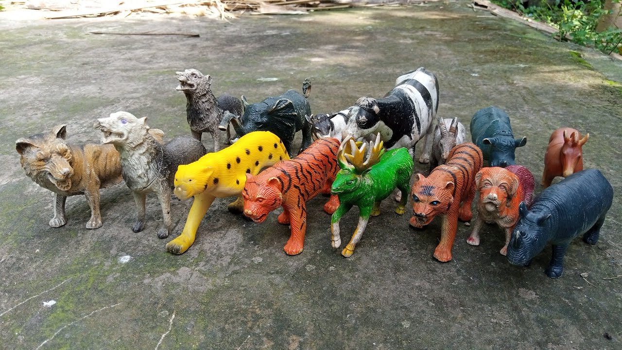 2 Minutes Statisfying With Unboxing and Learning Name of Wild Animal Toys In The Garden