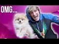 I JUST BOUGHT A PUPPY! **not clickbait**