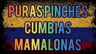 Sombra perdida Binomio de oro rebajada