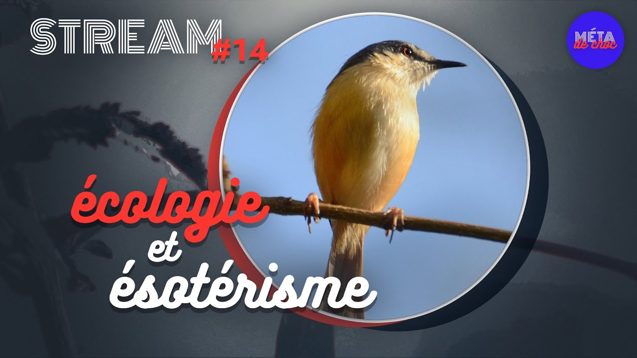 Écologie et ésotérisme — STREAM #14