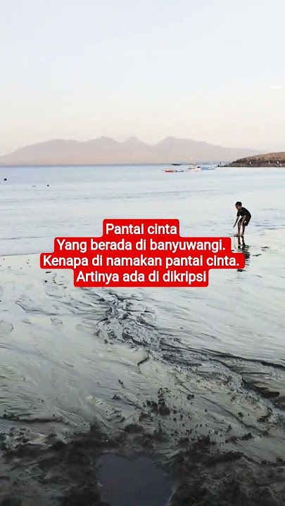 𝙋𝙖𝙣𝙩𝙖𝙞 𝙘𝙞𝙣𝙩𝙖 #suksesternaksapi #sapipedaging #cow #domba #automobile