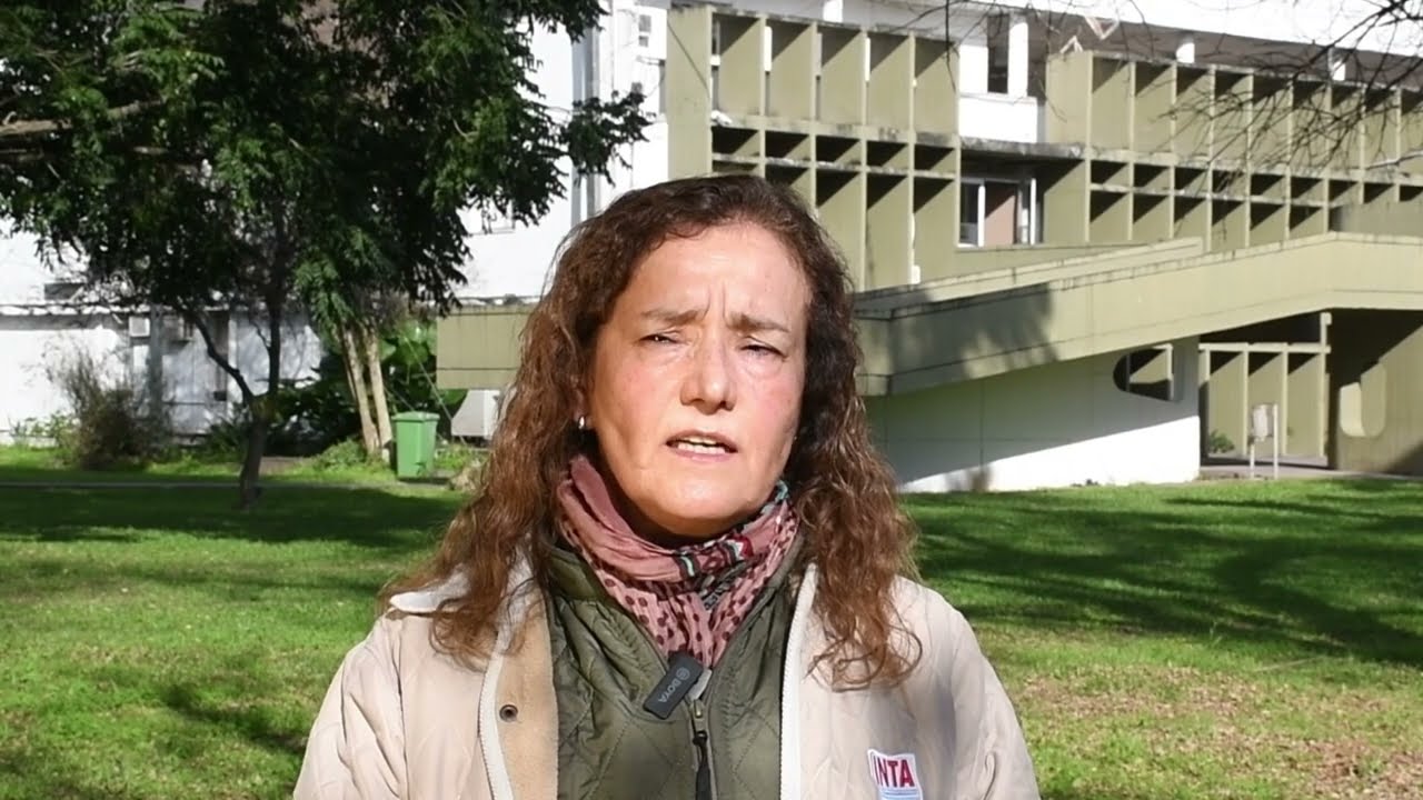 INTA Famaillá: Evaluación de Brasicáceas como cultivos mejoradores de suelo