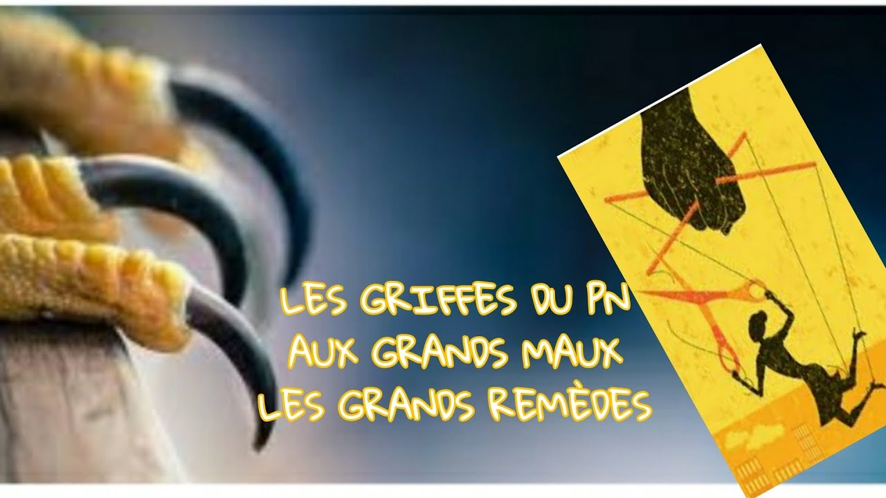 LES GRIFFES DU PERVERS NARCISSIQUE : AUX GRANDS MAUX, LES GRANDS