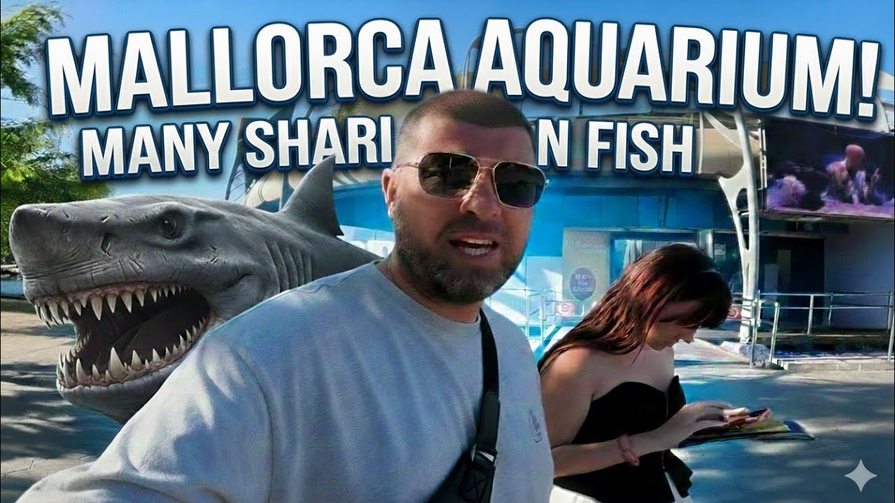 аквариум Майорки и неожиданный бонус 🎁| Семейный влог