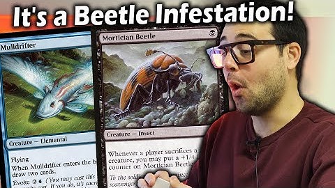A new Sacrifice deck is Winning in Pauper! | UW Familiars vs Beetle Sacrifice | Mtg Paper Gameplay
