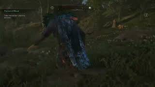 Assassins Creed Valhalla: The Floating Net