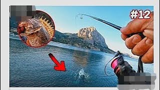 КАМЕНЬ ОЖИЛ... ОГРОМНЫЙ МОРСКОЙ ЕРШ(СКОРПЕНА) Хитрый способ ловли скорпены! Ночная Рыбалка в Крыму