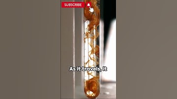 Terms used in chromatography| mobile phase|stationary phase|eluent |eluate|elution #shorts