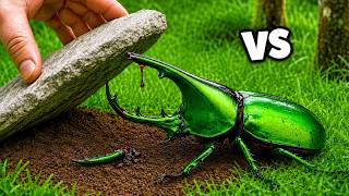 TerraGreen: DEADLIEST INSECTS vs MY FINGER… It Went HORRIBLY WRONG! Compilation