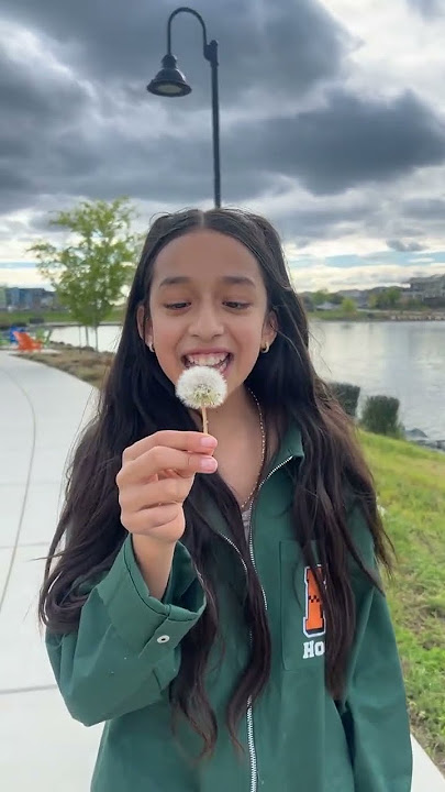 ￼First dandelion of the season