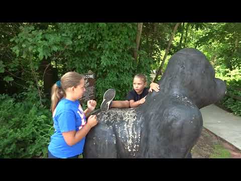 bella-trying-to-climb-up-on-a-gorilla!!