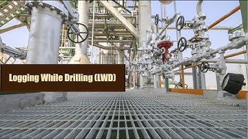 Logging While Drilling (LWD)