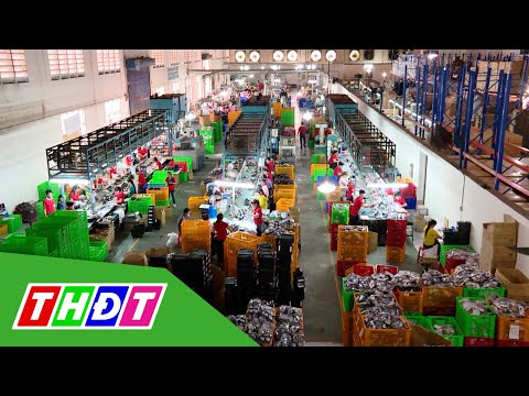 Hàng hóa tồn kho có xu hướng gia tăng | THDT