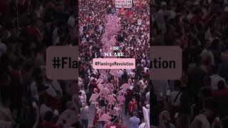 Day 18 We are Flamingo Revolution! 🦩 . . . #notforsale #albania #flamingorevolution #shqiperi