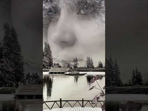 هاني شاكر هوياقلب الي إختار