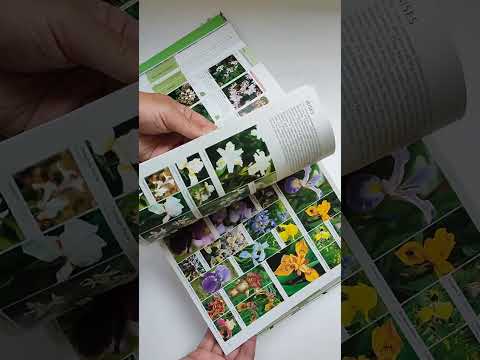Книга RHS Encyclopedia of plants and flowers