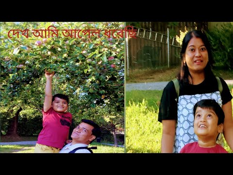 ভিডিও: বাগানে 