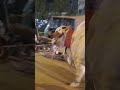 Cow lover cow video cow reels cow TikTok cow mandi #cow #trending #animals #bull #youtubeshorts