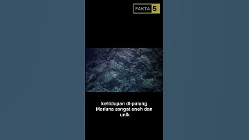 Fakta Unik Palung Mariana #faktaunik #fakta5 #palungmariana #shorts