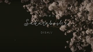 DISH// - Sakuraboshi 「サクラボシ」(Kan/Rom/Eng Lyrics)