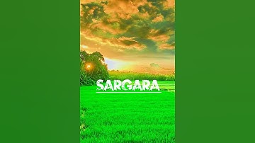 Viral Name Photo Editing |Urban Jungle Font Photo EditingHow to Edit Name Art Photo Editing#trending