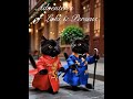 Kittens Loki & Perseus Travel to China 🐾🇨🇳 | Year of the Horse Adventure | Cute Cat Vlog #cute #cat