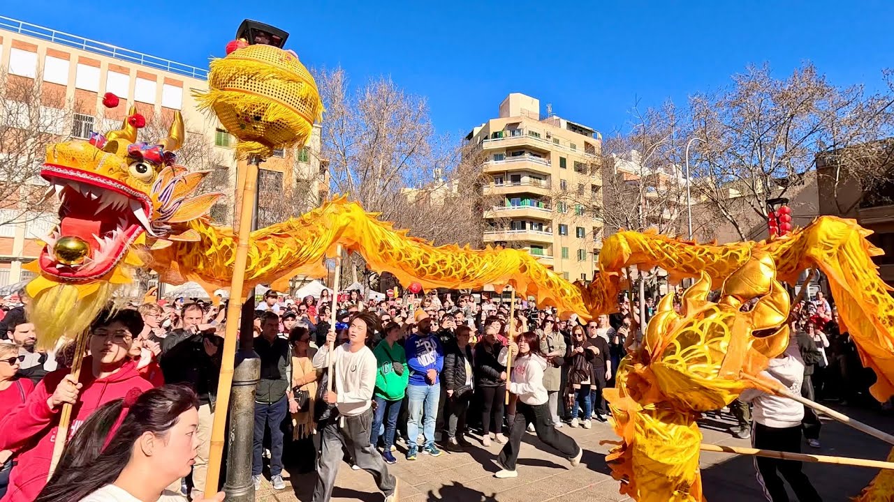 Chinese New Year Celebration in Palma de Mallorca/ February 22, 2026/ 4K UHD