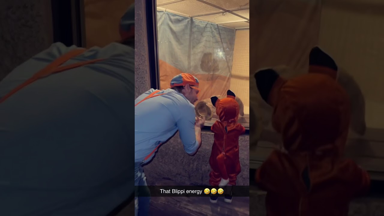 Walmart version Blippi at the zoo!