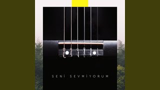 Seni Sevmiyorum