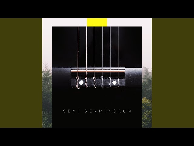 Seni Sevmiyorum