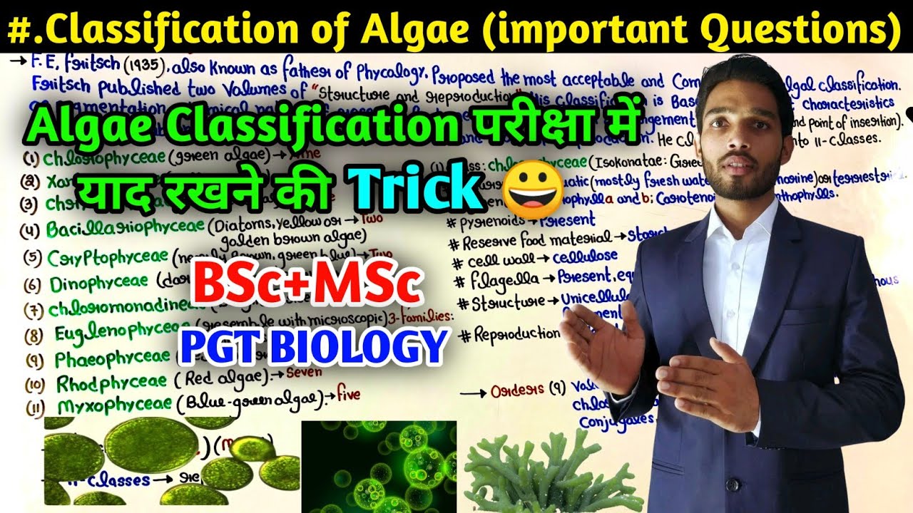 Classification of Algae || Trick to Remember Classification of Algae || BSc || MSc || PGT Biology
