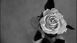 Sabrina Claudio-Problem With You (Acoustic)