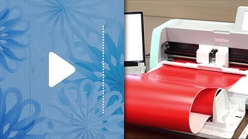 CanvasWorkspace for PC and Mac - How to Use the Roll Feeder Function