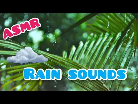 ASMR - Rain Sounds #asmr #asmrgirl #rain