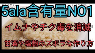 5alaゴアラ含有量が一番多い食べ物甘酒、塩麹のズボラ超簡単誰でもつくれる作り方！塩麹もつくれます。