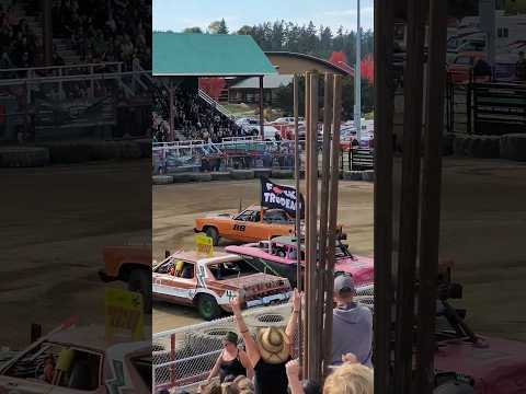 The crowd goes