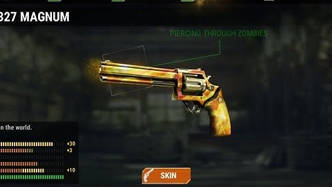 MAYFLOWER. 327 MAGNUM Gun Game Play in Dead Target