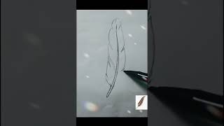 Cómo Dibujar Pluma De Ave Realista Muy Fácil Paso A Paso Trucos Lindos Shorts