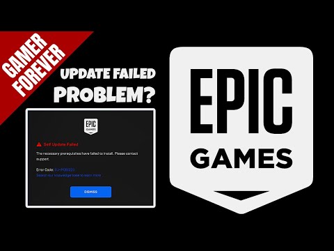 ❓Epic Games Self