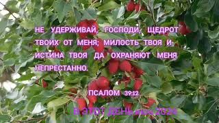 Библия / Псалтирь - Псалом 39:12