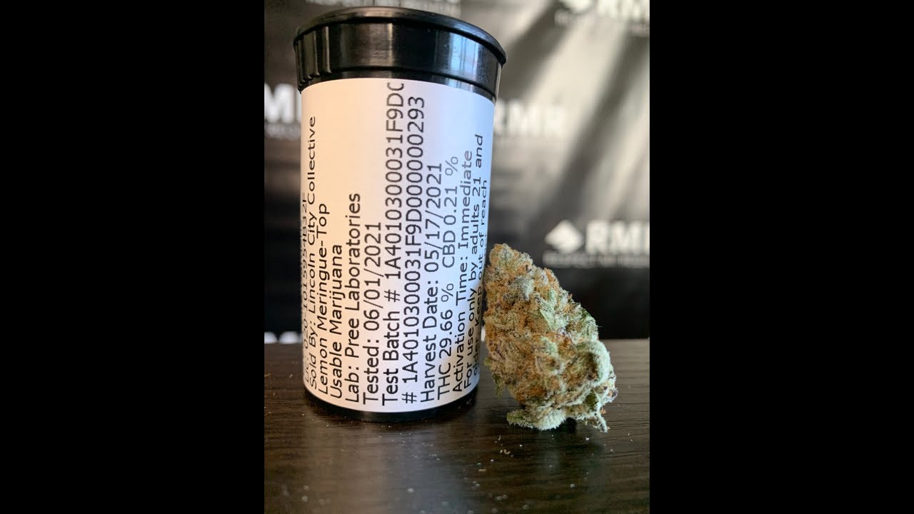 Lemon Meringue Strain Review Featuring Lincoln City Collective In Oregon