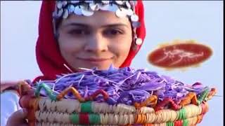 سحرخیز Saharkhiz